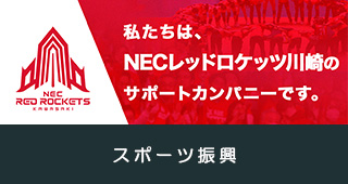 NECレッドロケッツ川崎